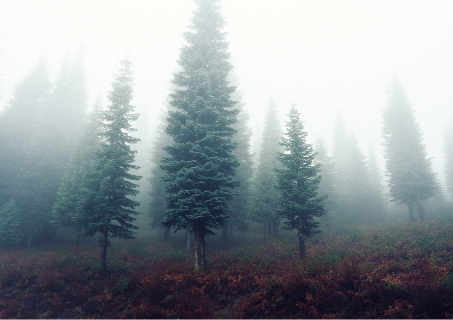 Forgiveness, Compassion, and Change